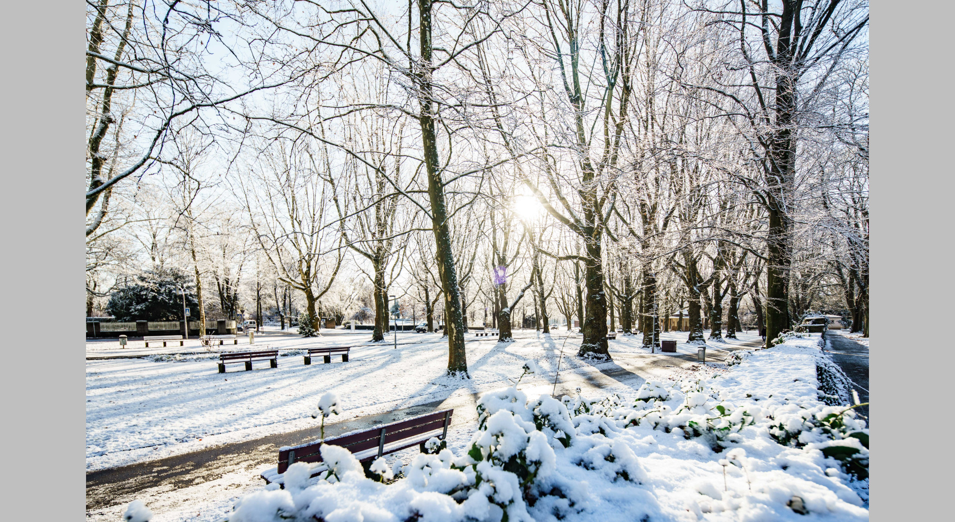 Oberhofenpark im Schnee