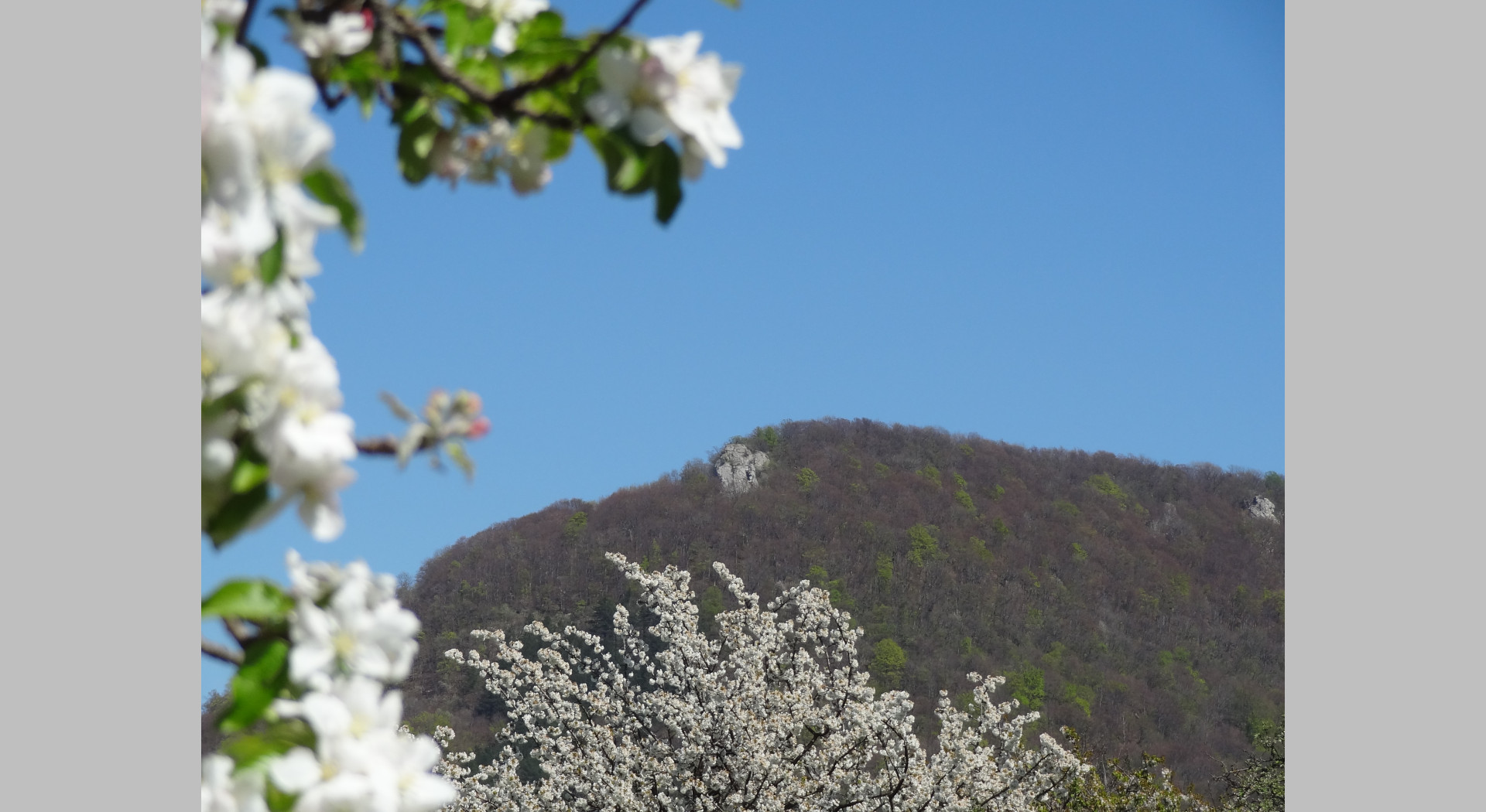 Blick zum Beurener Fels im Frühling