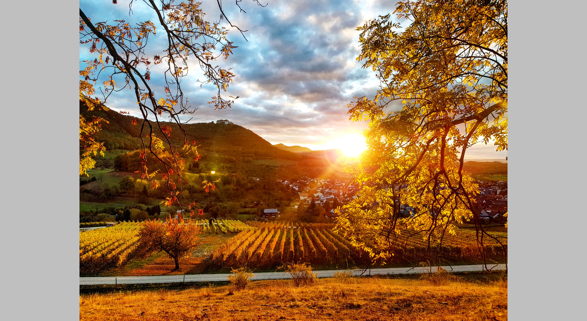 Sonnenuntergang in den Beurener Weinbergen