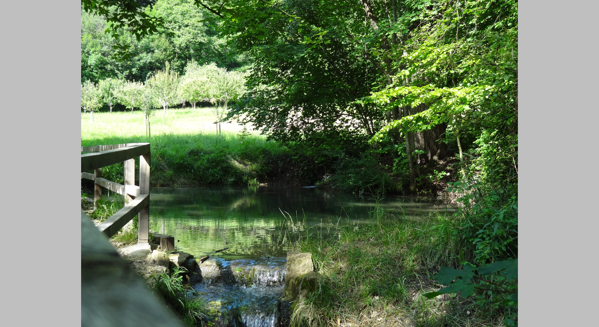 Bach beim Tobelweiher 