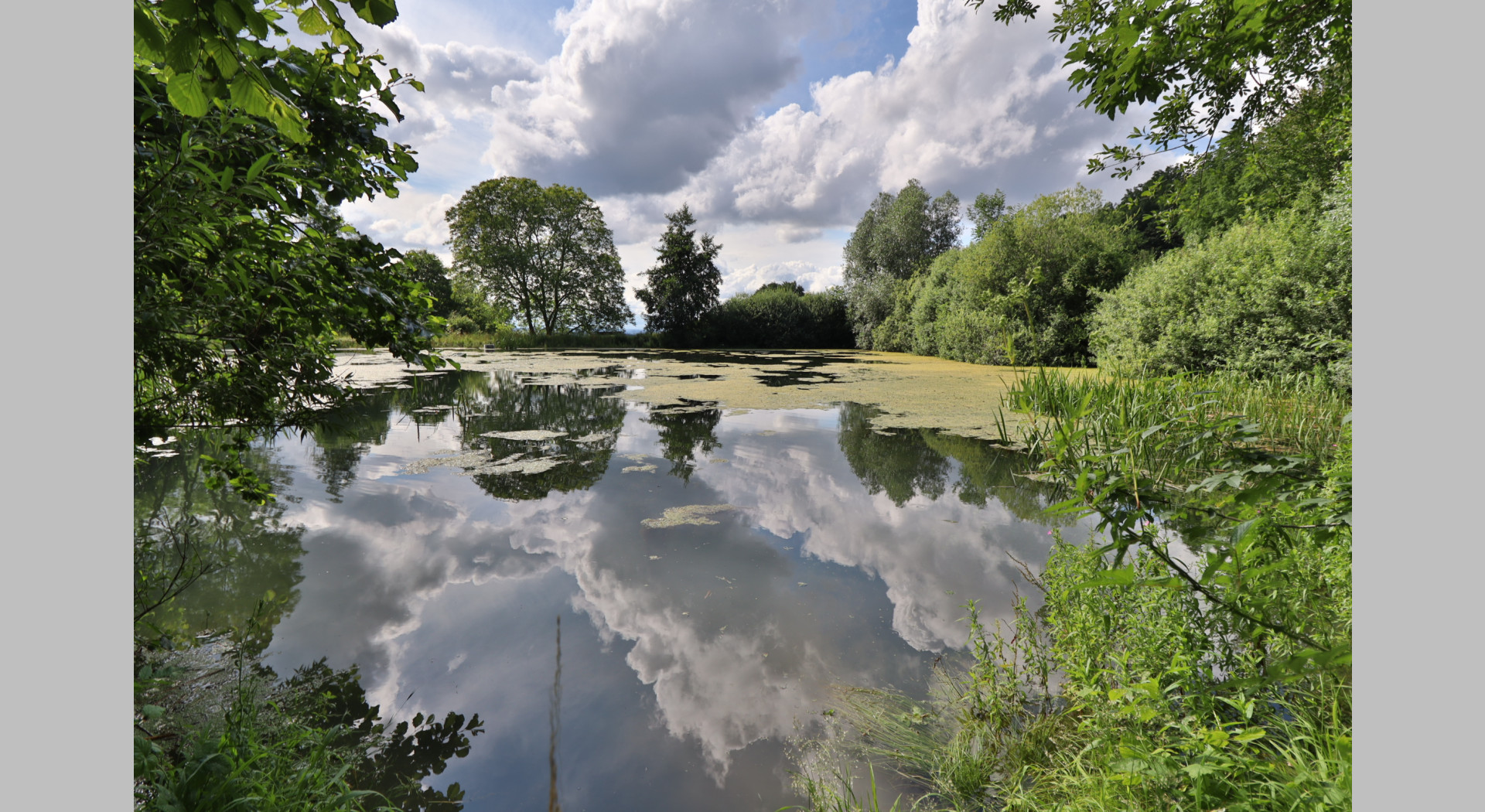 Tobelweiher bei Beuren