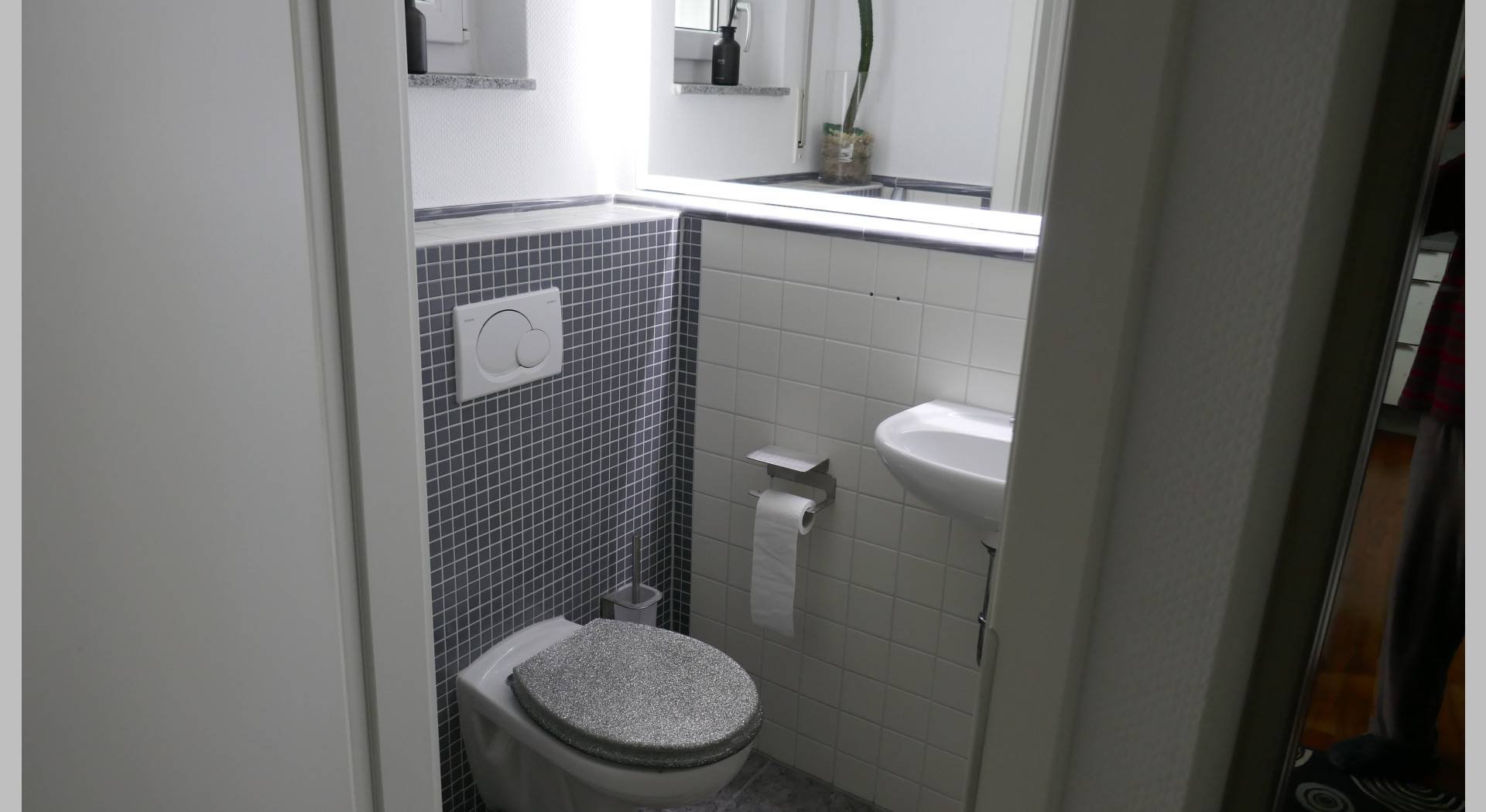EG. WC