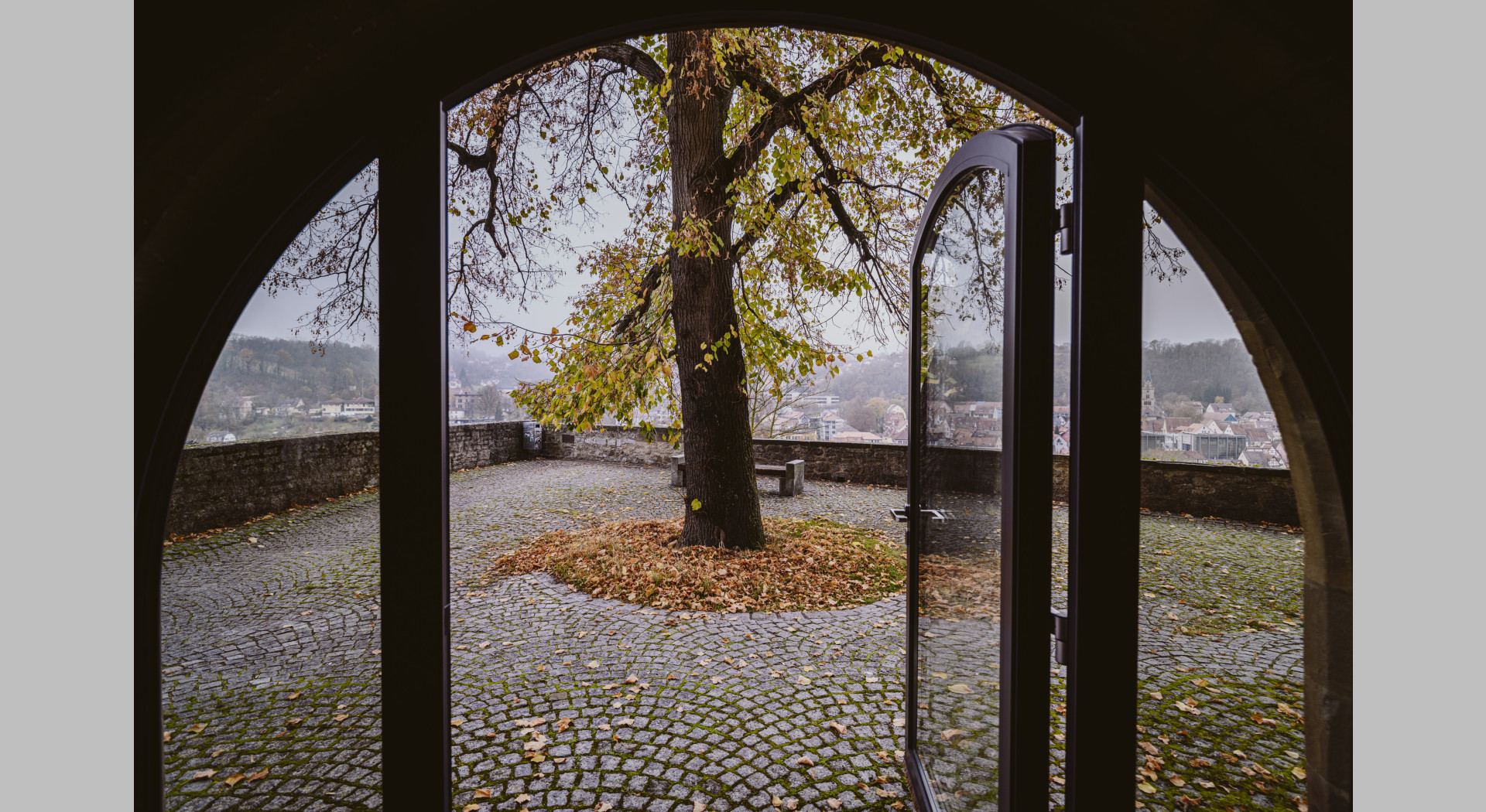 Schwalbennest in Schwäbisch Hall