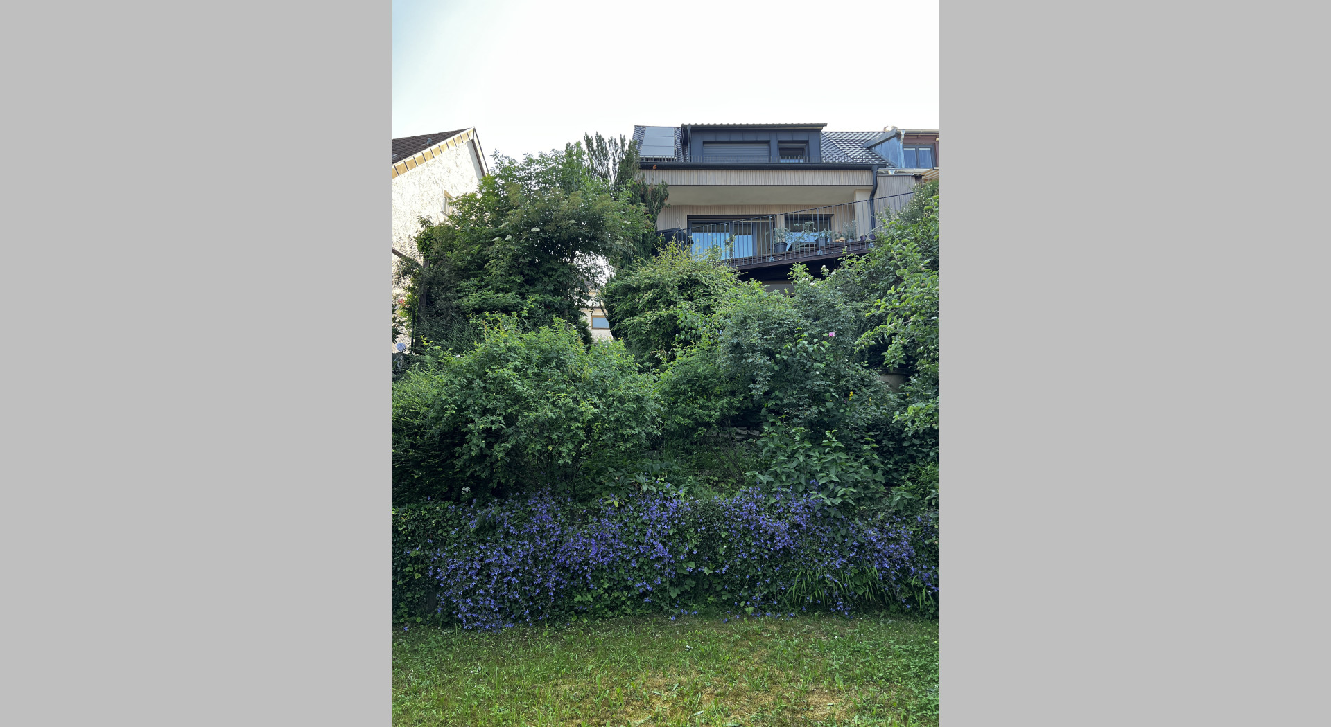 Untere Gartenfläche mit Haus im Hintergrund (Sommer)