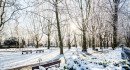 Oberhofenpark im Schnee