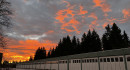 Morgenrot über Hallen