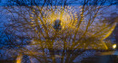 Vorderer Raum mit alternativem Licht-Setup 03