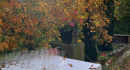 Schlossruine mit Park