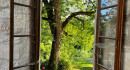 Schlossruine mit Park