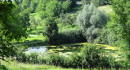 Blick von oben auf den Tobelweiher