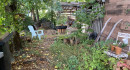 wilder Garten Atelierhaus Pumpenhaus