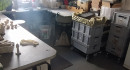 FrauFux Laden Beton Werkstatt