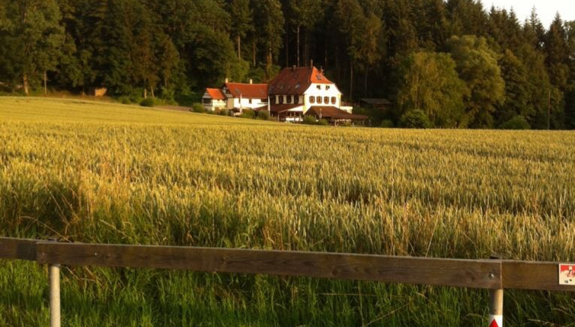 Historische Alte Mühle Ehrstädt